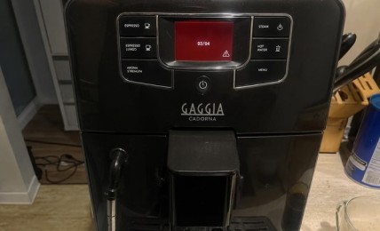 Ремонт Gaggia Cadorna — устранение ошибки заварочного блока